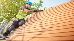 Best Skylight Installation and Repair  in Wrens, GA