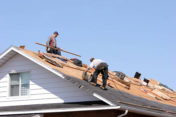 Best Rubber Roofing (EPDM, TPO)  in Wrens, GA